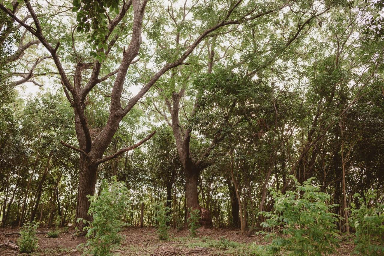 El Rincon - Casa De Campo Carmelo Dış mekan fotoğraf